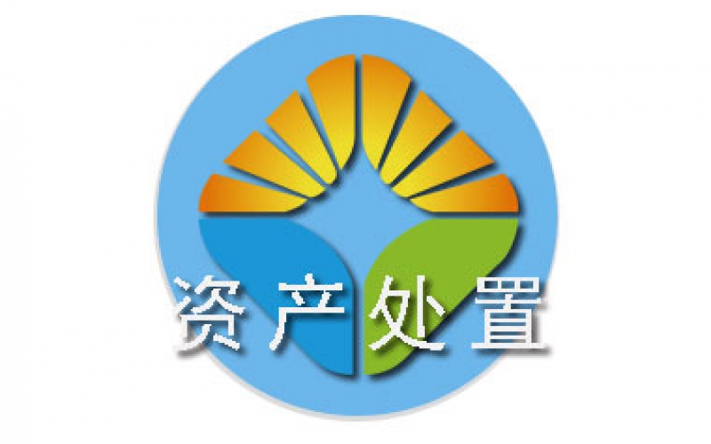 貴陽(yáng)副食果品有限公司持有的寶馬X3車輛資產(chǎn)