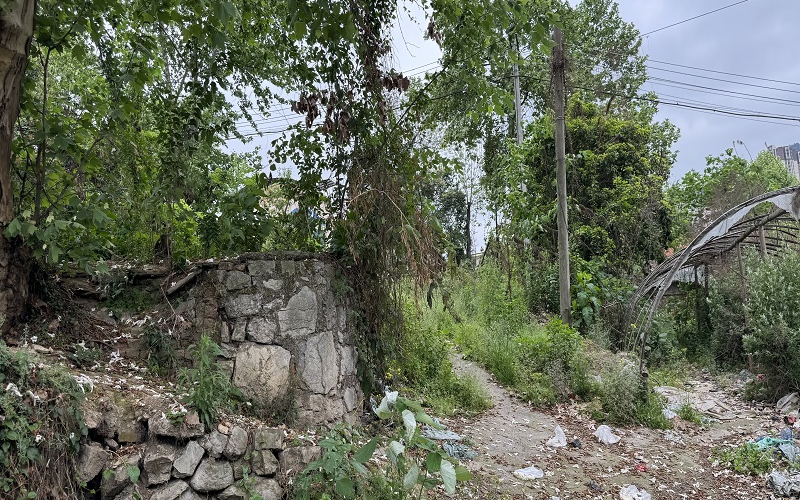 貴州省機關事務管理局國有資產(chǎn)管理服務中心遵義市紅花崗區(qū)桃溪路51號2處資產(chǎn)招租